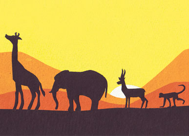 Sunset Safari Card