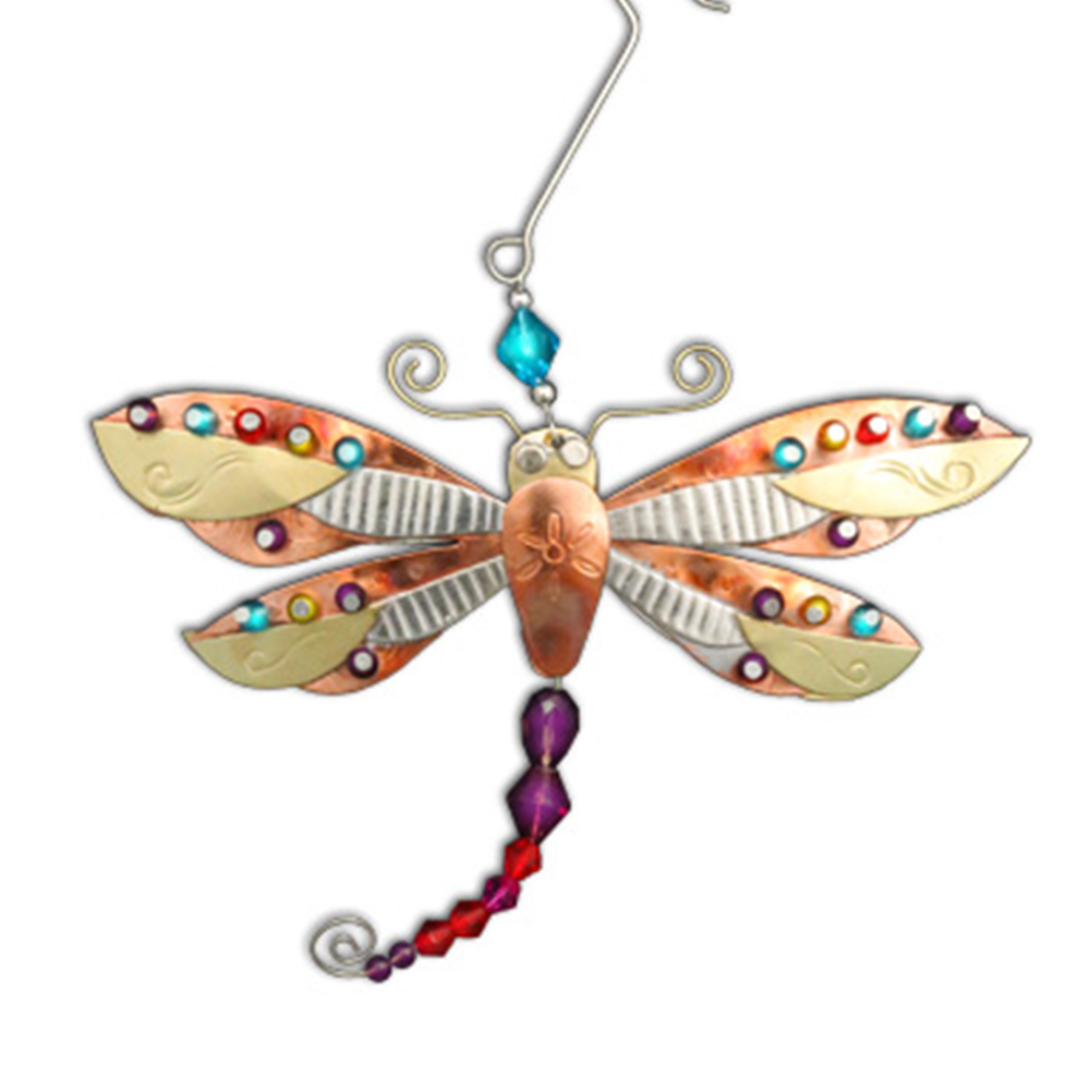 Bright Wings Dragonfly