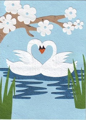 Swans In Love
