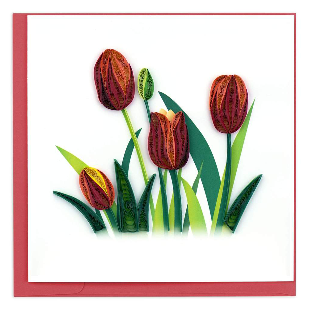 Red Tulip