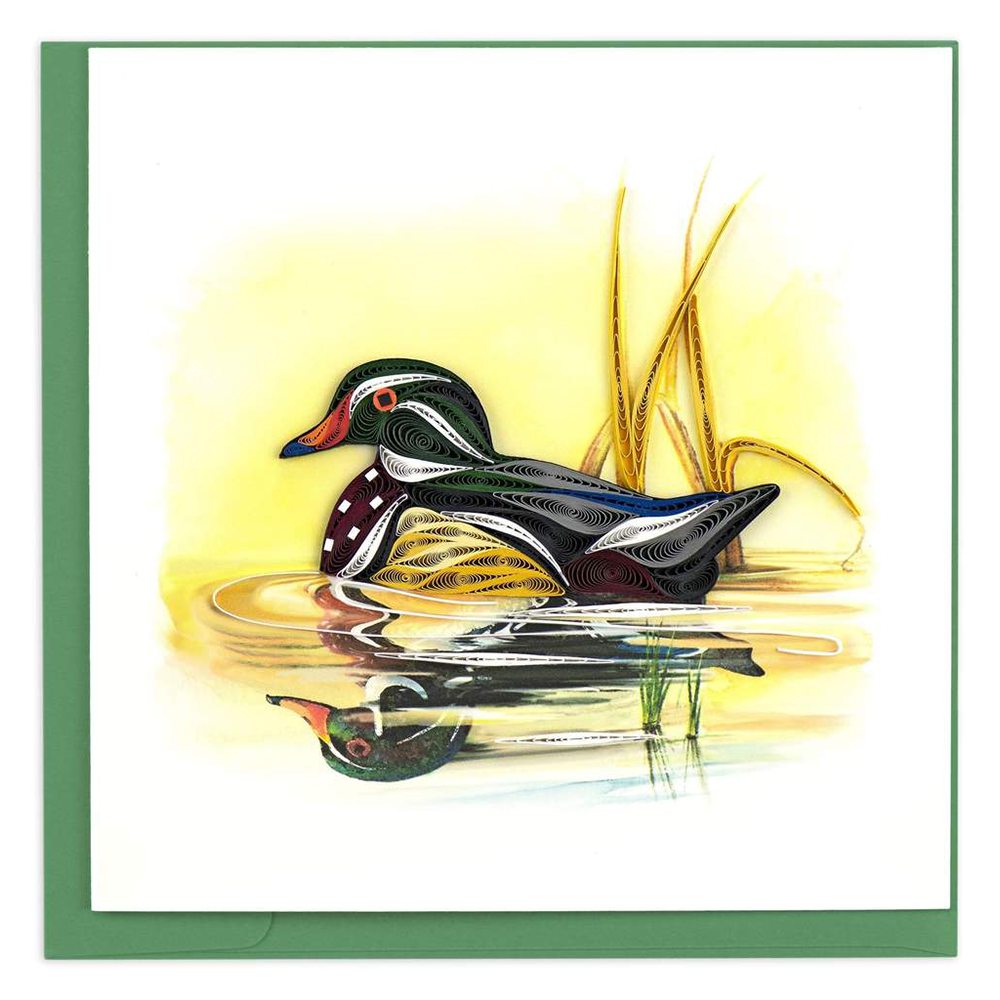 Wood Duck