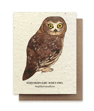 Load image into Gallery viewer, Northern Saw-Whet Owl Plantable Wildflower Seed Card: Glassine Sleeves
