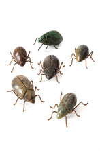 Load image into Gallery viewer, Assorted Zimbabwean Stone and Wire Beetle Sculptures
