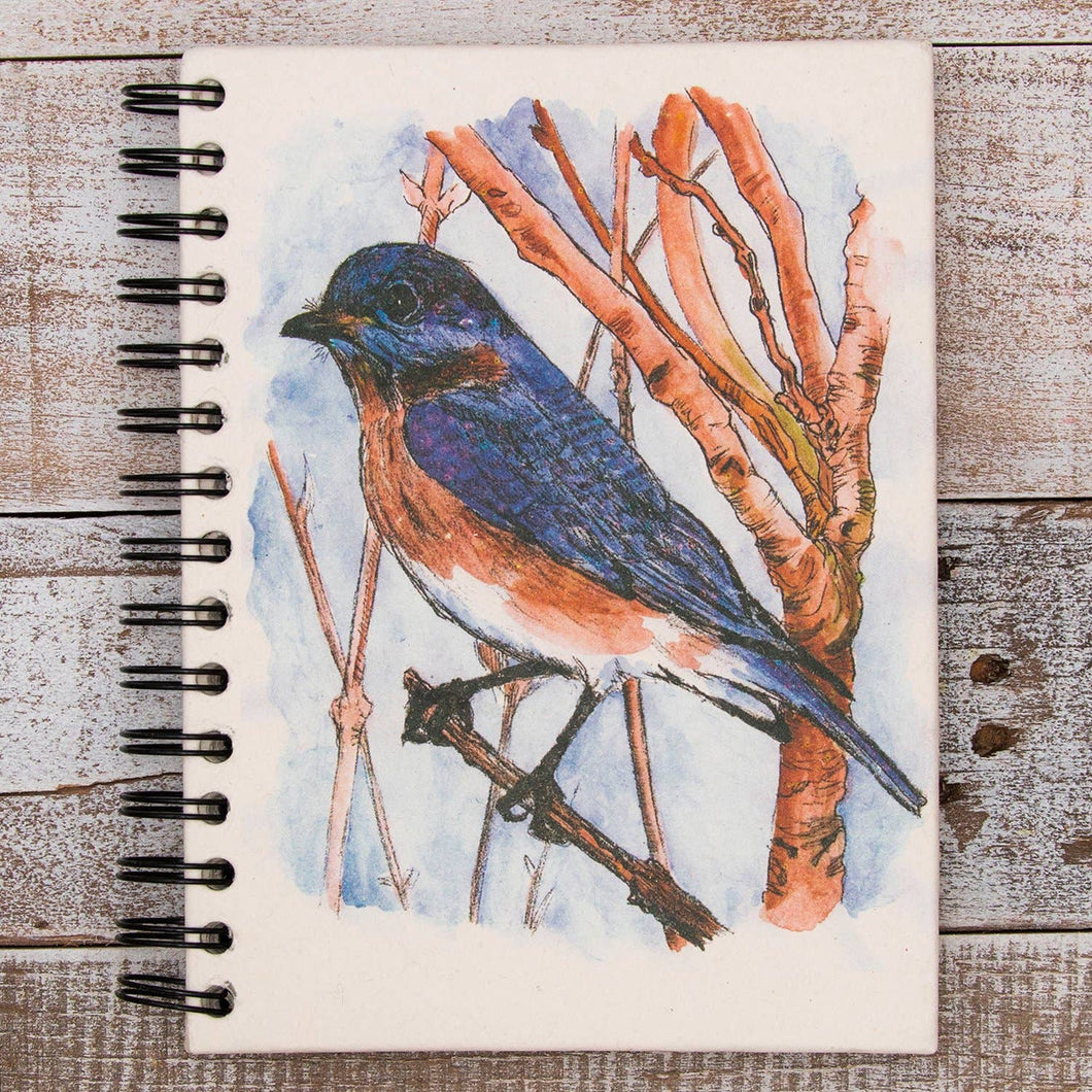 Large Notebook Bluebird Sketch (w): Default Title