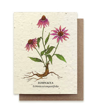 Load image into Gallery viewer, Echinacea Plantable Wildflower Seed Card: Glassine Sleeves
