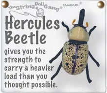 Load image into Gallery viewer, Hercules Beetle
