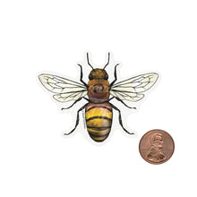 Load image into Gallery viewer, Eco-Sticker: Honey Bee
