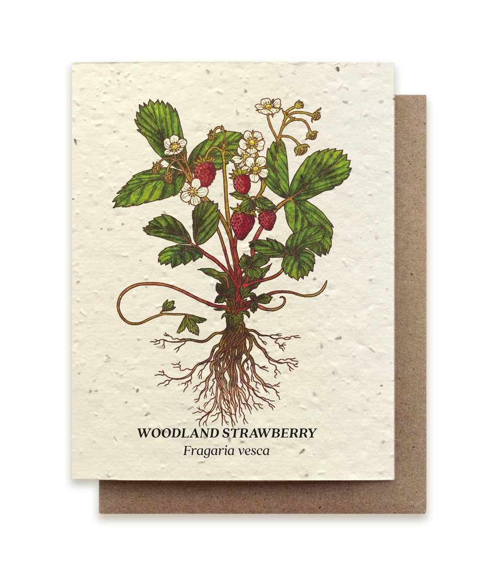 Strawberry Plantable Wildflower Seed Card: Glassine Sleeves