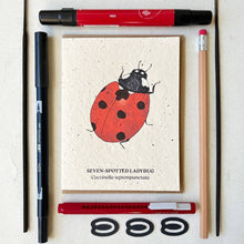 Load image into Gallery viewer, Seven-Spotted Ladybug Plantable Wildflower Seed Card: Glassine Sleeves
