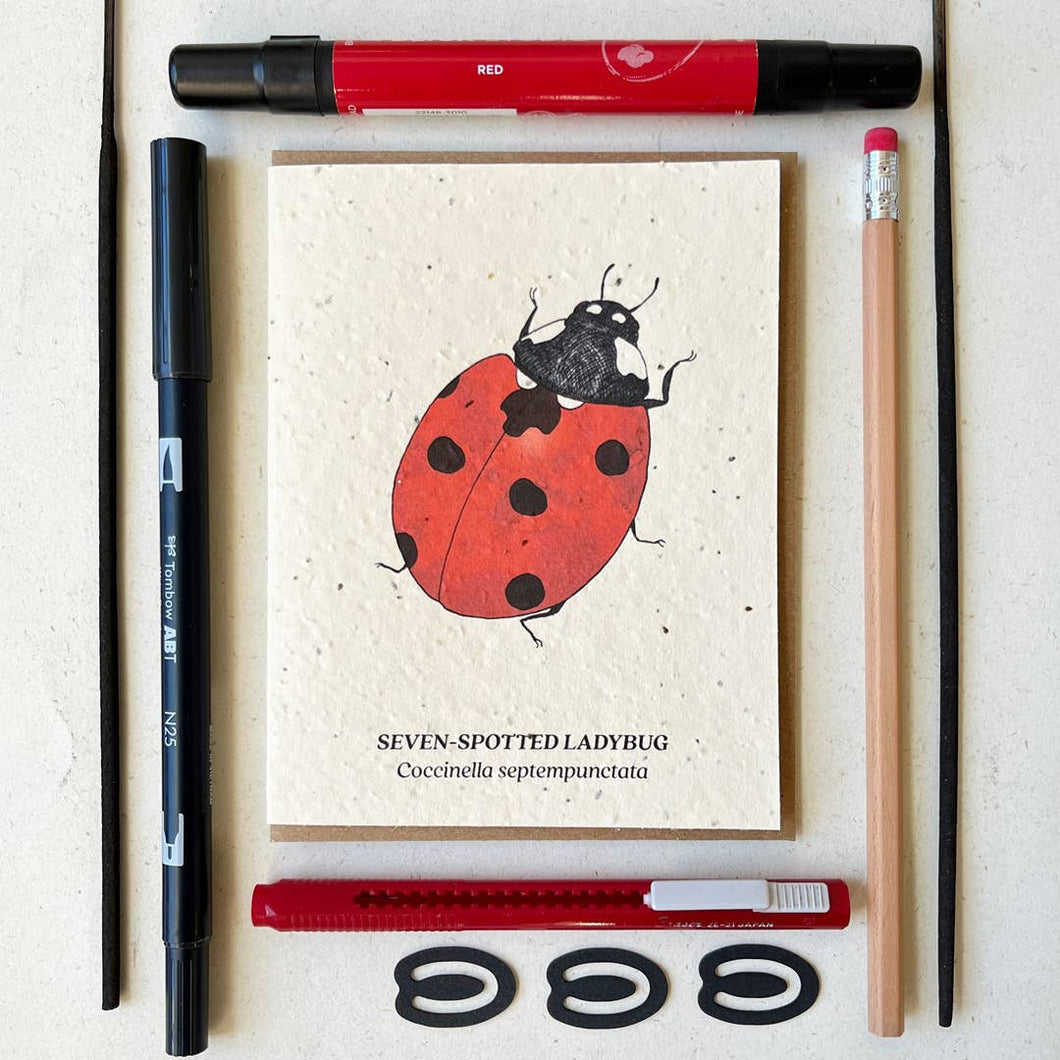 Seven-Spotted Ladybug Plantable Wildflower Seed Card: Glassine Sleeves