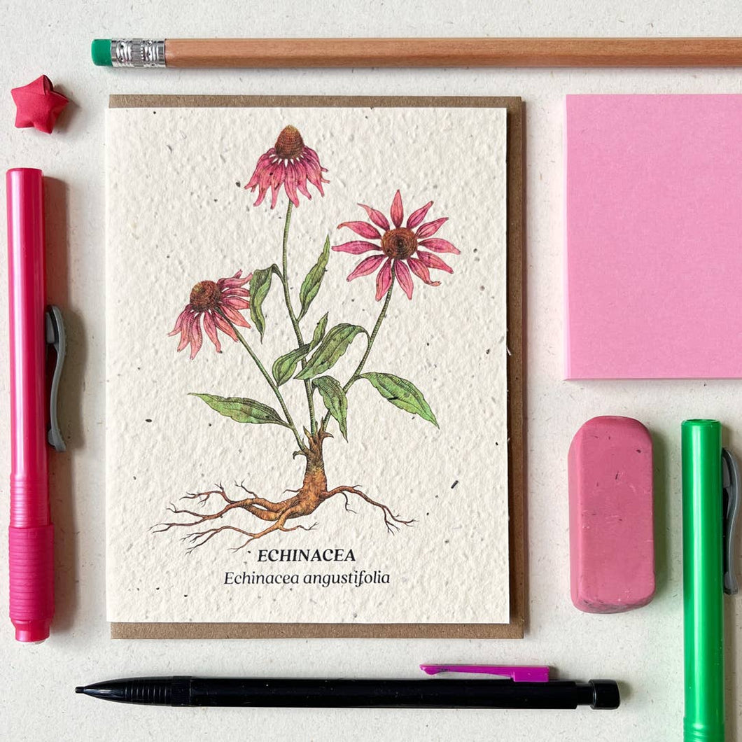 Echinacea Plantable Wildflower Seed Card: Glassine Sleeves