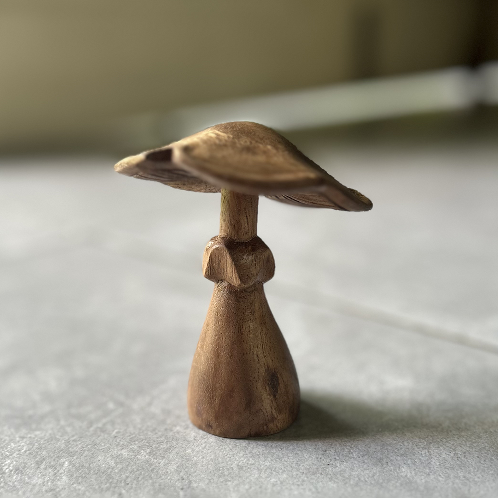 SS23 Natural Suar Wood Mushrooms