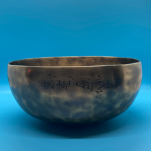 Load image into Gallery viewer, 10&quot; Moon Hammered Bowl
